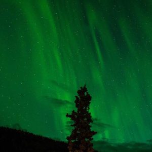 Rem ut rem animi qui voluptas qui